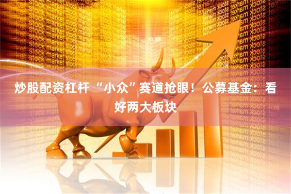 炒股配资杠杆 “小众”赛道抢眼！公募基金：看好两大板块
