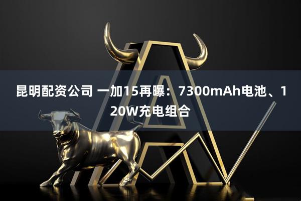 昆明配资公司 一加15再曝：7300mAh电池、120W充电组合