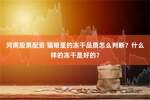 河南股票配资 猫粮里的冻干品质怎么判断？什么样的冻干是好的？